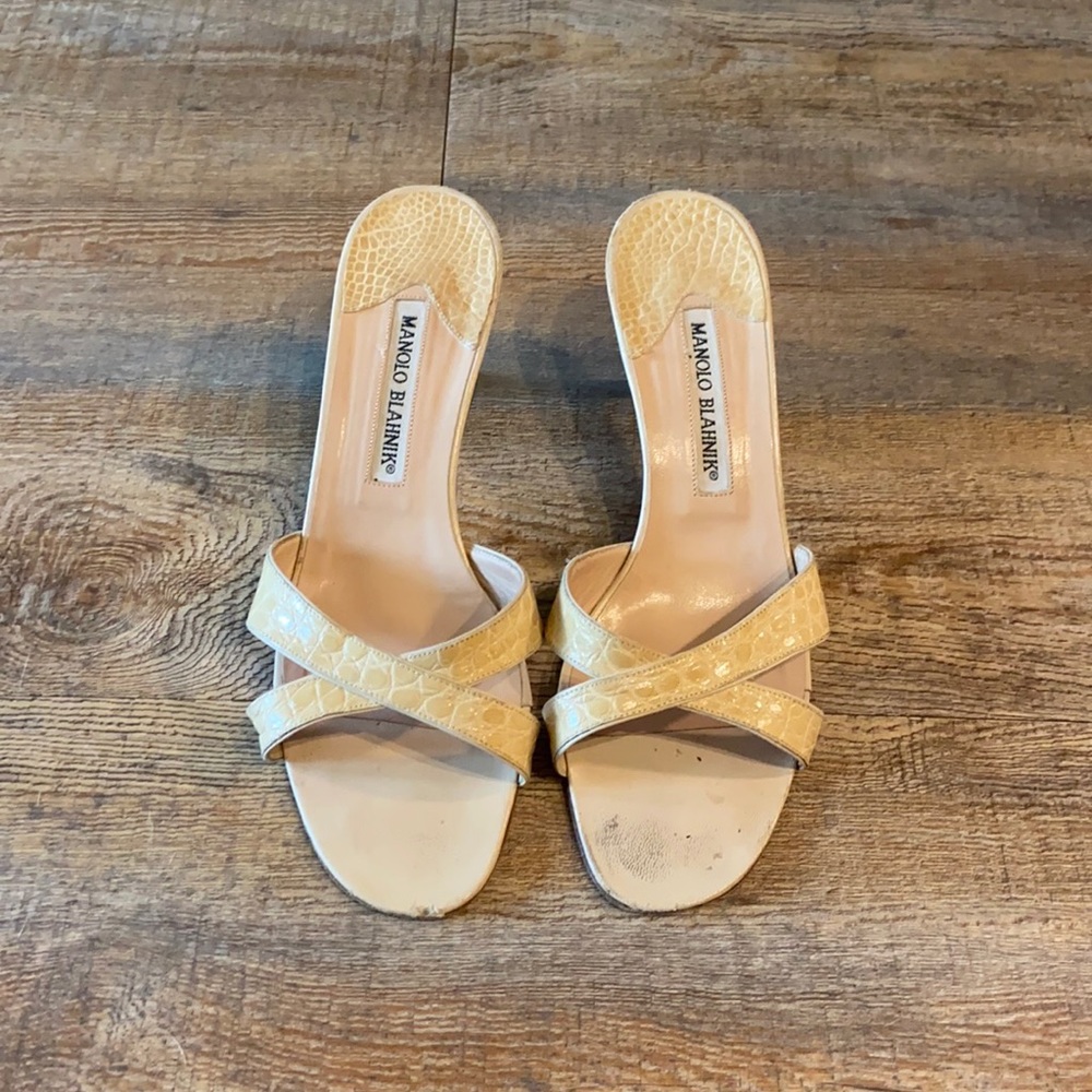 Manolo Blahnik Heels
